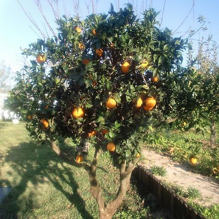 דירות אזייתאו Quinta Da Harmonia מראה חיצוני תמונה