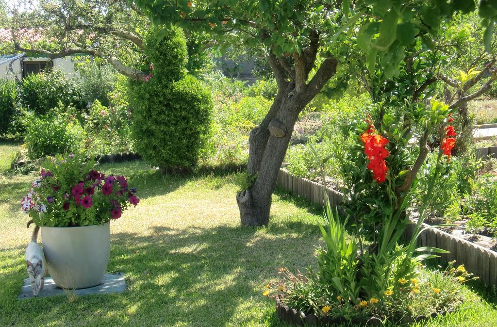 דירות אזייתאו Quinta Da Harmonia מראה חיצוני תמונה
