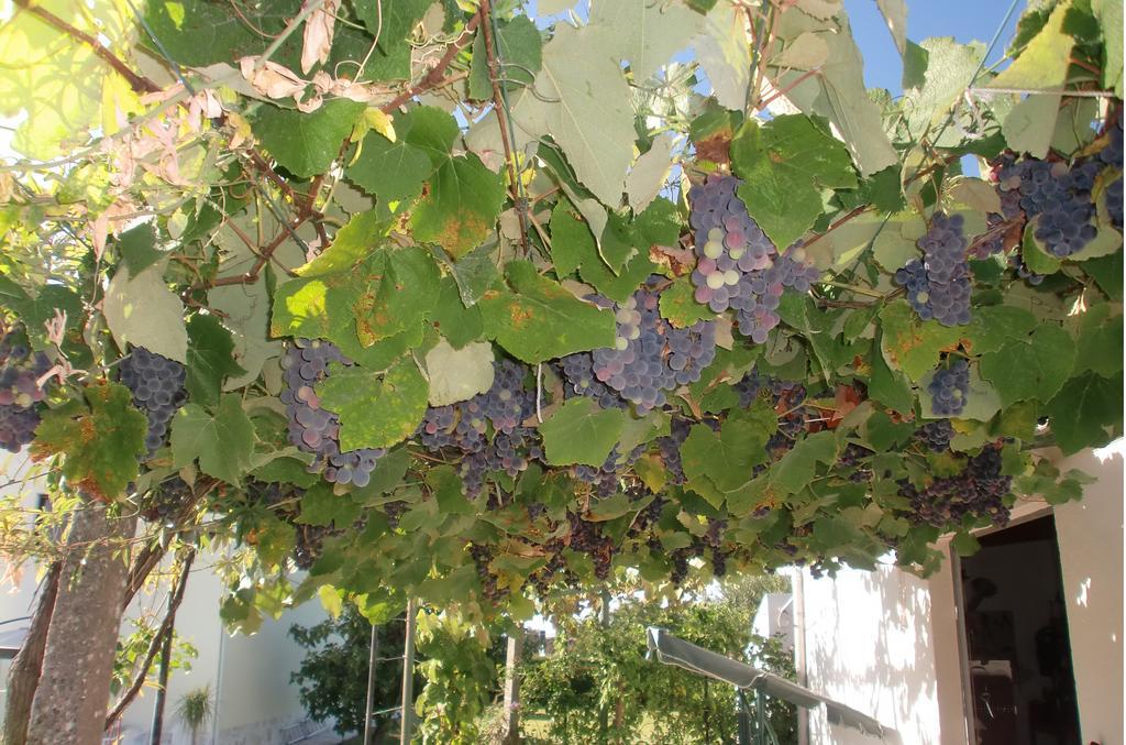 דירות אזייתאו Quinta Da Harmonia מראה חיצוני תמונה